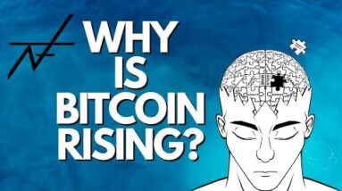 BITCOIN NEWS: WHY IS BITCOIN RISING? JULY 24