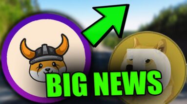 FLOKI INU - THE NEXT SHIBA INU/DOGECOIN? Floki Inu Review