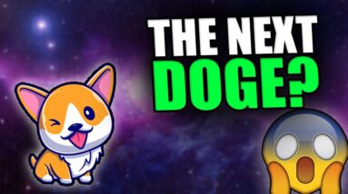 NEW DOGECOIN COMPETITOR? MiniDoge Review