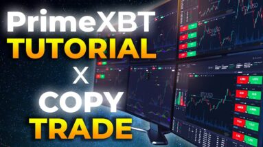 PrimeXBT Trading Tutorial + Copy Trade Expert Traders with PrimeXBT Covesting // PrimeXBT Review