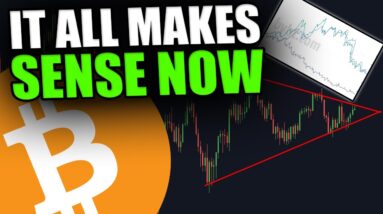 THIS CHART EXPLAINS THE BITCOIN BULL RUN! [And Why It Stopped...]