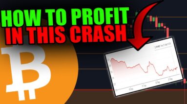 BEST WAY TO MAKE MONEY IN THIS BITCOIN CRASH! [My Strategy Explained...]