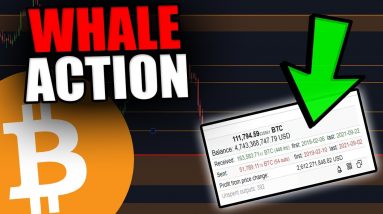 BIGGEST BITCOIN WHALE JUST DID THIS!