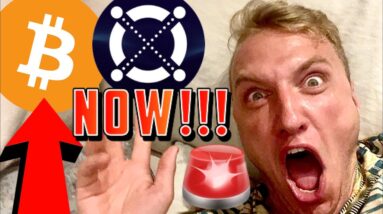 BITCOIN & ELROND!!!!!! I AM SHAKING!!!!!!!!!!!!!