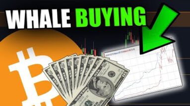 THE BIGGEST WHALE JUST BOUGHT BITCOIN!  [Vital Bitcoin Support Levels Revealed....]