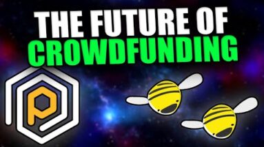 NEXT GENERATION CROWDFUNDING | Polinate Review