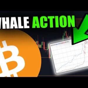 THE BIGGEST BITCOIN WHALE HAS DONE IT AGAIN!