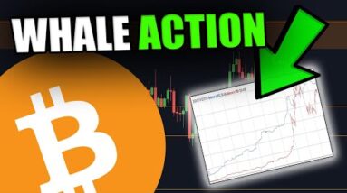 THE BIGGEST BITCOIN WHALE HAS DONE IT AGAIN!