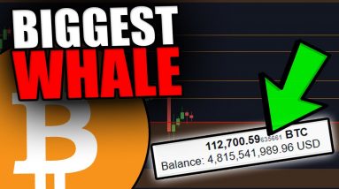 THIS WHALE HOLDS $4,800,000,000 BITCOIN! [Not Spooked By China FUD...]