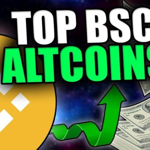 BIG BSC ALTCOIN OPPORTUNITIES [Get Ready For Big Pumps...]