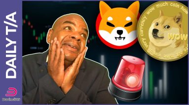 DOGECOIN & SHIBA INU WHAT'S THE NEXT MOVE?