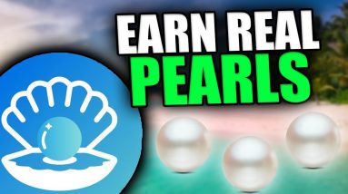 EARN REAL PEARLS WITH NFTs FROM CLAM ISLAND - Gamified Yield Farming and NFTs on a 3D Island