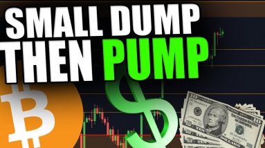 SMALL BITCOIN DUMP THEN MASSIVE PUMP? BEWARE THIS LEVEL!