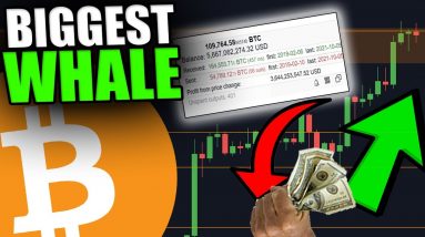 THE BIGGEST BITCOIN WHALE JUST SOLD BITCOIN [Should You Be Worried?...]