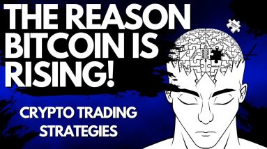 THE REASON BITCOIN IS RISING!