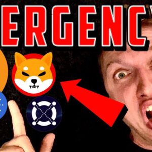 BITCOIN: HUGE EMERGENCY!!!!! [ETH, SHIB, EGLD, ADA, VPAD]