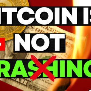 BITCOIN Is NOT CRASHING (Explained)