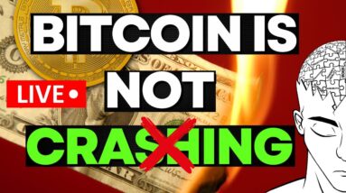 BITCOIN Is NOT CRASHING (Explained)