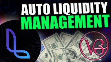 CONCENTRATED LIQUIDITY MANAGEMENT - Lixir Finance Review