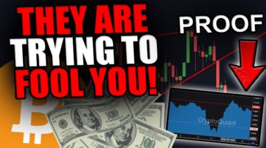 DON'T LET THEM FOOL YOU! Insane Bitcoin Chart Reveals Whales DOING THIS!