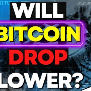 What If BITCOIN & Crypto World Continues To DROP? ( What To Expect)