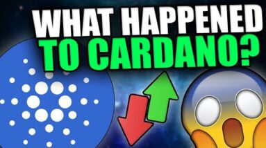 WHAT IS GOING ON WITH THE CARDANO ECOSYSTEM?
