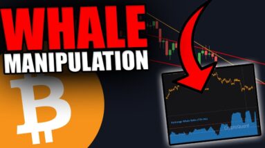 BIG WARNING: THESE BITCOIN WHALES ARE DOING SOMETHING CRAZY