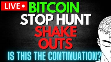 BITCOIN Shakes Out The Stops (Crypto Trading Strategies)