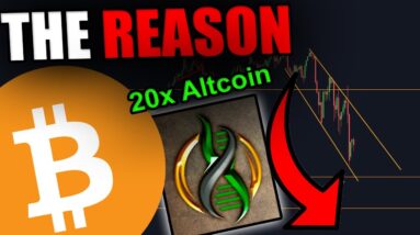 THIS IS THE REASON WHY BITCOIN IS GOING DOWN + Altcoin Gem Launching Today