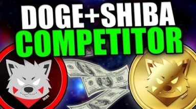 THE NEXT TOP MEMECOIN? - Kiba Inu Review