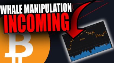 THESE BITCOIN WHALES ARE ABOUT TO MAKE THIS BIG MOVE!