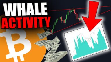 THESE BITCOIN WHALES ARE STILL TRYING TO FOOL YOU!