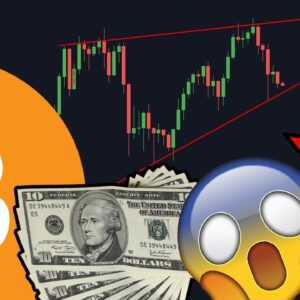 THESE BITCOIN WHALES JUST FOOLED EVERYONE!