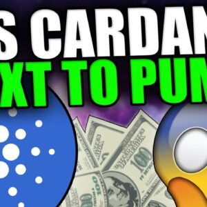 BIG THINGS ARE HAPPENING FOR CARDANO IN DECEMBER [Prepare For Massive Pumps...]