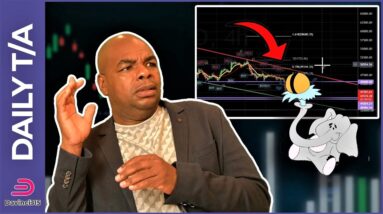BITCOIN & ETHEREUM AND THE ELEPHANT IN THE ROOM!!!!