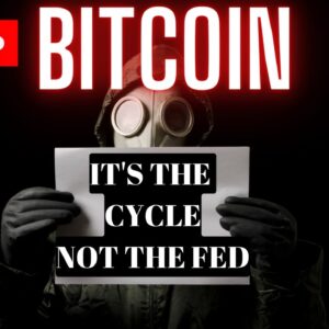 BITCOIN: Look At The Bigger Picture (Crypto World Looking For Blame)