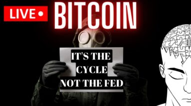 BITCOIN: Look At The Bigger Picture (Crypto World Looking For Blame)