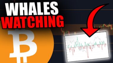 BITCOIN... THIS CHART IS TELLING US SOMETHING ABOUT THE WHALES!
