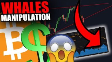 THESE BITCOIN WHALES JUST FOOLED EVERYONE [Again....]
