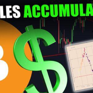 HOW MUCH HAS WHALES ACTUALLY BEEN BUYING? [Data Reveals This...]