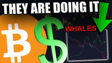 THESE GUYS JUST BOUGHT INSANE AMOUNTS OF BITCOIN **PROOF**