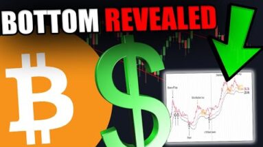 THIS INSANE CHART JUST REVEALED THE BITCOIN BOTTOM