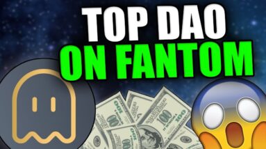 THIS PROJECT CREATED A NEW TYPE OF STABLECOIN - FantOHM Review