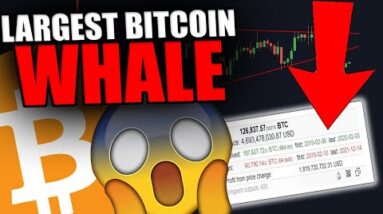 THIS WHALE JUST REVEALED THE NEXT BITCOIN MOVE [Biggest Whale Exposed..]