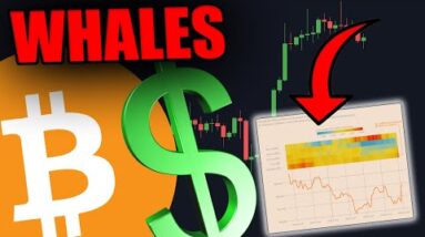 THESE BITCOIN WHALES JUST CHANGED THEIR MIND
