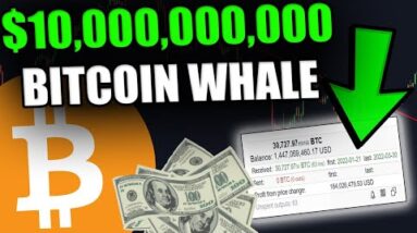 THIS BITCOIN WHALE IS BUYING $10,000,000,000 NOW!