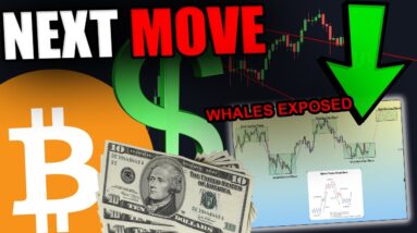 THIS CHART REVEALS THE WHALES NEXT MOVE