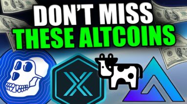 PAY ATTENTION TO THESE TOP ALTCOINS AND LUNAR CRYSTAL NFTS