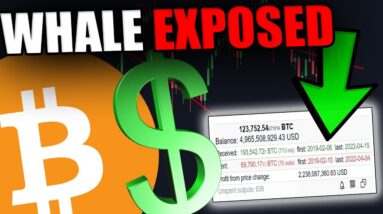 THIS BITCOIN WHALE JUST CHANGED HIS STRATEGY!