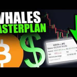 THIS WHALE IS ACCUMULATING BITCOIN LIKE CRAZY!